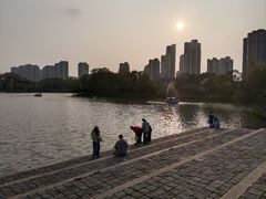 -青枫公园