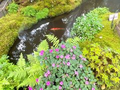 -Chom Cafe and Restaurant