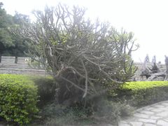 -胡里山炮台
