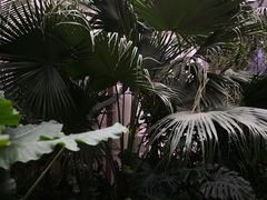 -天津大学附属中学