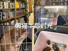 -昼夜咖啡馆