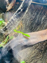 -酷嗒动物文化乐园(cutezoo西溪乐天城店)