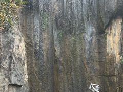 -西双版纳原始森林公园
