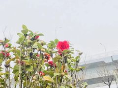 -衡阳东站