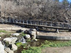 -白水寺森林公园