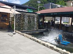 -京北渔家傲