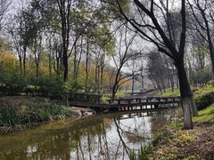 -西安浐灞国家湿地公园