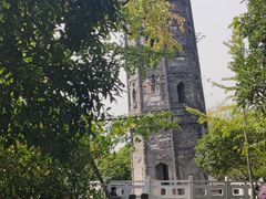 -上海佘山国家森林公园天马山园