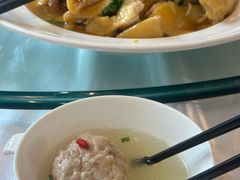 -泰康之家·申园