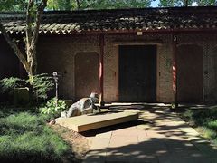 -天一阁博物院