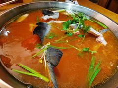 -新凯里酸汤鱼(飞山街店)