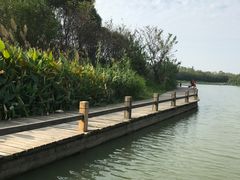 -艾溪湖湿地公园