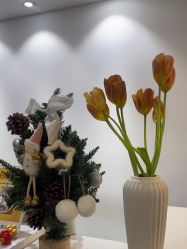 -春田皮肤管理中心品牌旗舰店