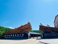 -茅兰沟国家森林公园