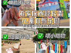 -西部长青自然儿童乐园