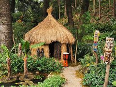-深圳仙湖植物园