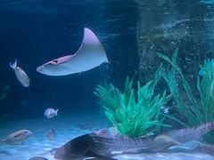 -沈阳海洋探索中心