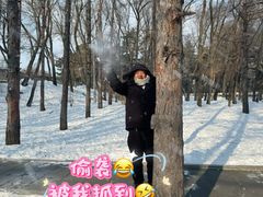 -长春市南湖公园