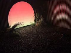 -朵兰达V酒店(长沙砂子塘地铁站店)