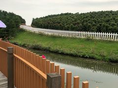 -迪茵湖田家舍生态农场