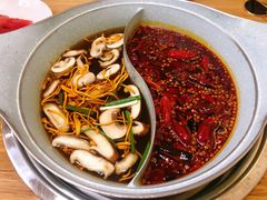 -青瓷火锅料理(西单大悦城店)