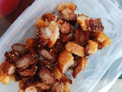 -脆皮五花肉(建东街旗舰店)