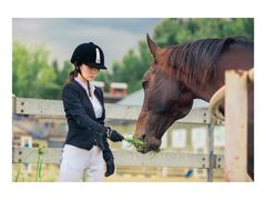 -月河湾马术俱乐部(朝阳店)