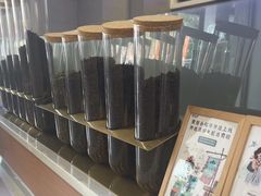 -雾与山茶(大禹城店)