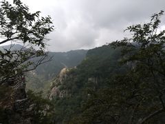 -牛背梁国家森林公园