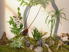 -荷兰布尔玛国际花艺学院