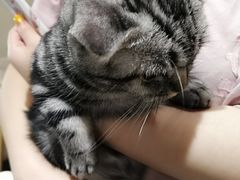 -藏猫猫咖啡主题馆(中央大道店)