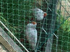 -下渚湖国家湿地公园科普馆