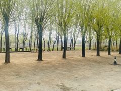 -北京群众马术培训基地