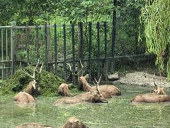 -溱湖国家湿地公园