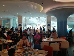 大堂-帝企鹅自助餐厅•儿童岛•真企鹅(长隆企鹅酒店)