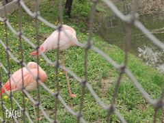 -沈阳森林动物园