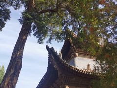 -张掖大佛寺景区