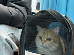 -联合动物医院(光谷诊疗中心)