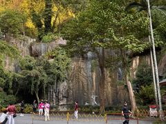 -西双版纳原始森林公园