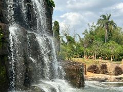 -海南热带野生动植物园