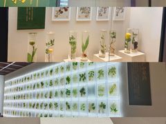 -广东中医药博物馆