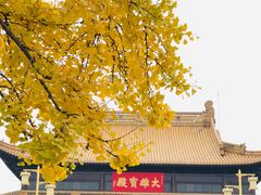 -圆通寺