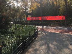 -大兴滨河森林公园