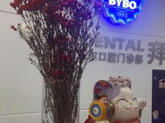 -泰康拜博口腔(世博园乐尔店)