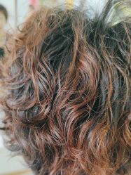 -波斯坦植物养发馆