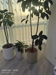 -HEYAN荷妍专业脱毛连锁机构
