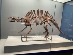 -湖南省地质博物馆