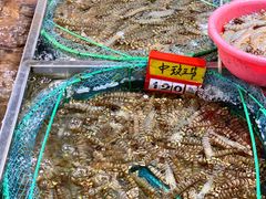 -船奇蒸汽海鲜·闽菜(八市海鲜总店)