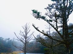 -峨眉山风景名胜区