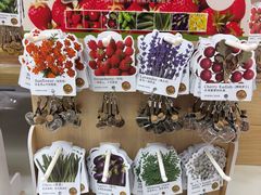 -鹏佳腾学生文创